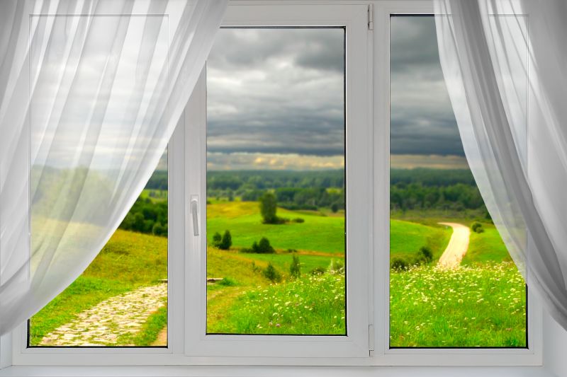 Picture Windows with Scenic Views